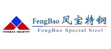 河南凤宝特钢有限公司